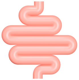 кишківник