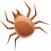 mite