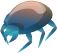 mite