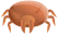 mite