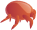 mite