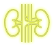 нирки
